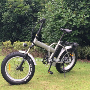 Beach Cruiser Foldable Fat Tire Electric Bike